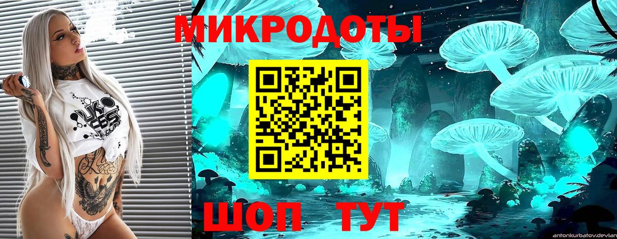 Галлюциногенные грибы Psilocybe Миасс